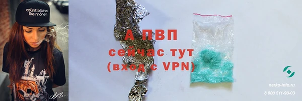 PSILOCYBIN Заводоуковск