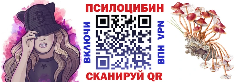 Галлюциногенные грибы Psilocybine cubensis  Нефтекумск 